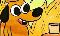 Featured image of post ElasticSearch Challenges